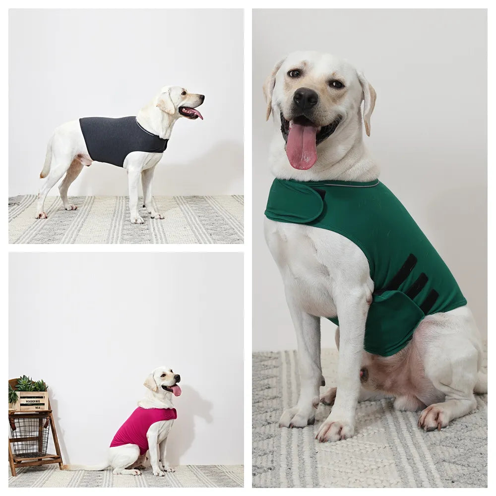 Dog Anxiety Vest