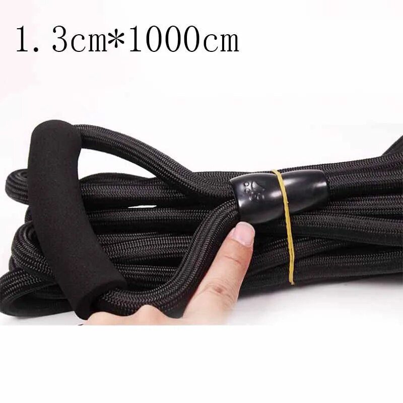 Nylon Dog Leash - 2, 3, 5 or 10mtr Length