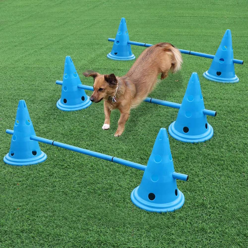 Beginner Agility Jumps