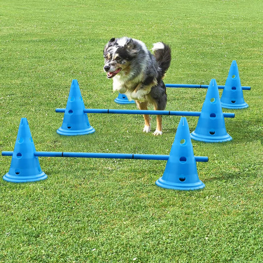 Beginner Agility Jumps