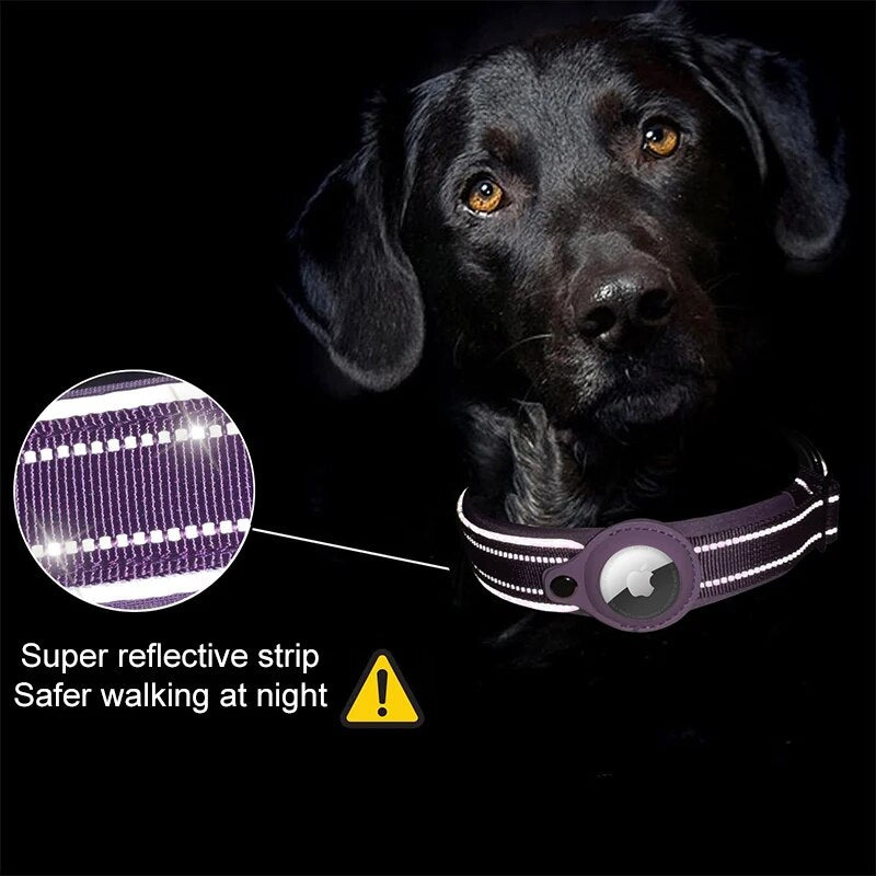 Apple Airtag Collar