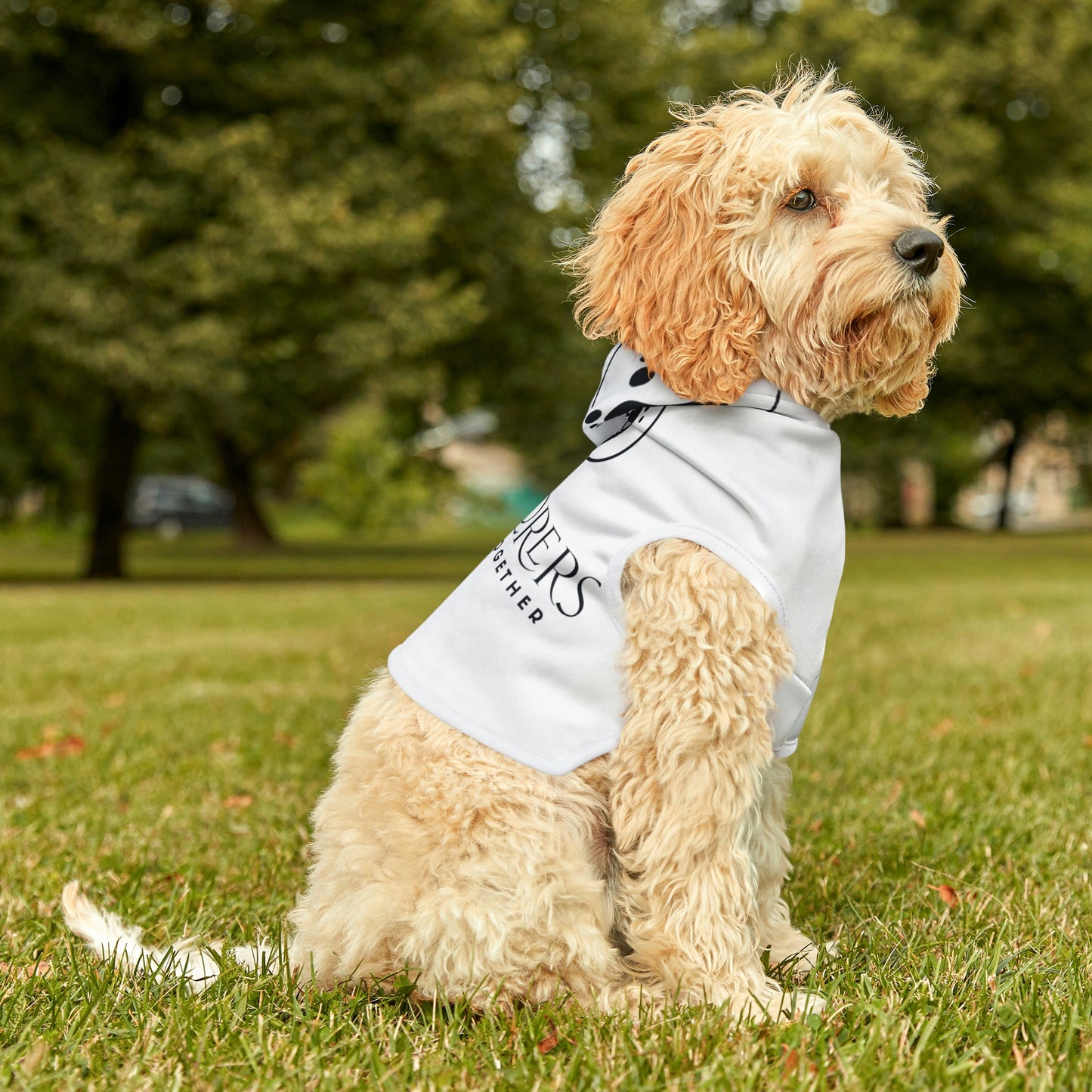 K9 Explorers Dog Hoodie