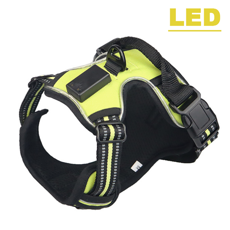 Premium USB Rechargeable LED Glow Harness