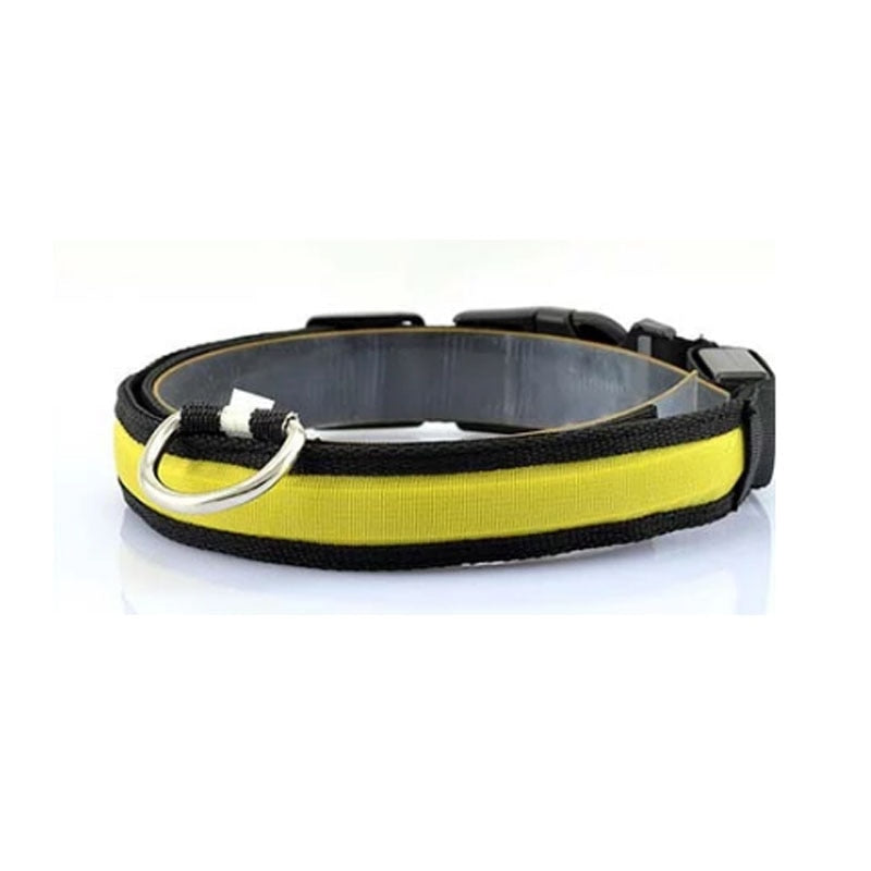 Glow Dog Collar