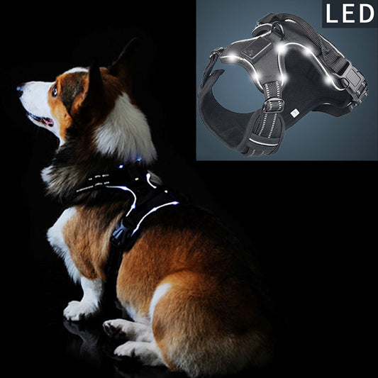 Premium USB Rechargeable LED Glow Harness