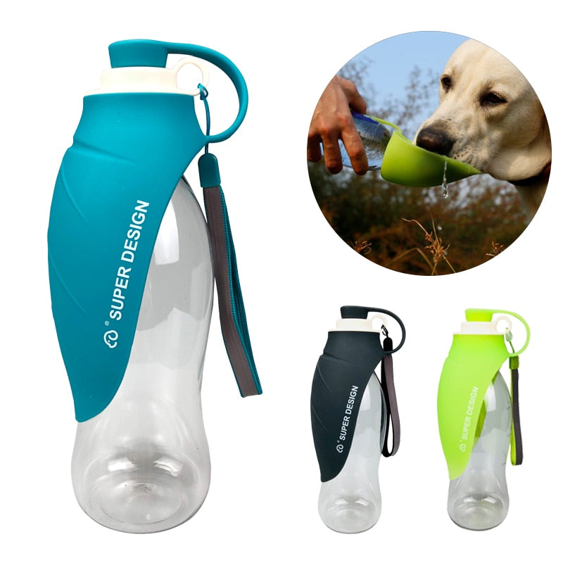 Travel Water Bottle (Compact)