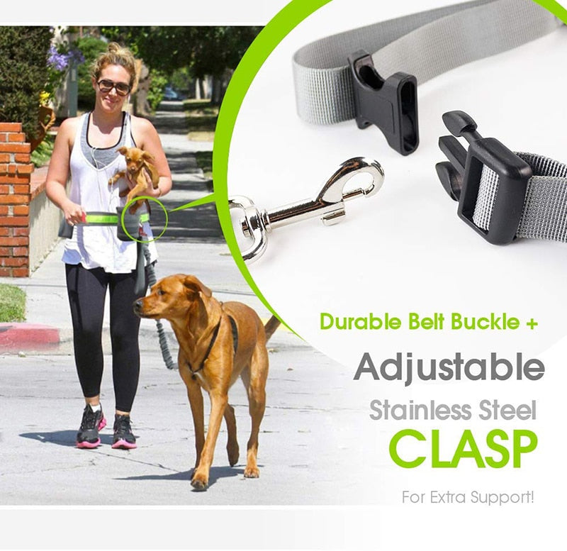 Handsfree Dog Leash Set