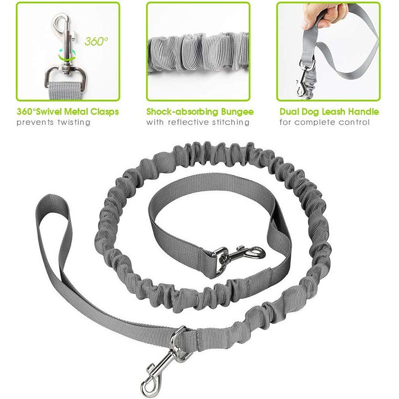 Handsfree Dog Leash Set