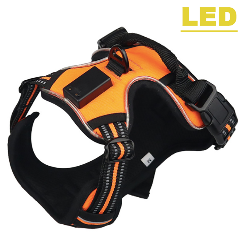 Premium USB Rechargeable LED Glow Harness