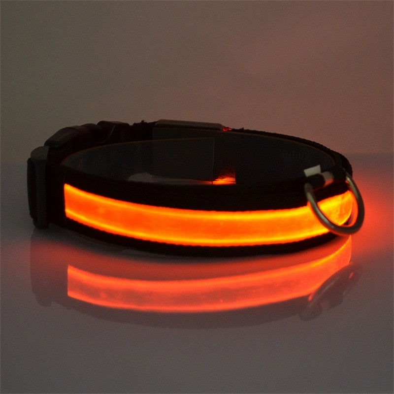 Glow Dog Collar