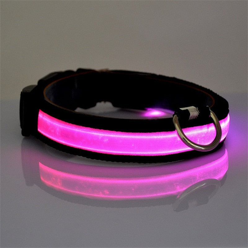 Glow Dog Collar