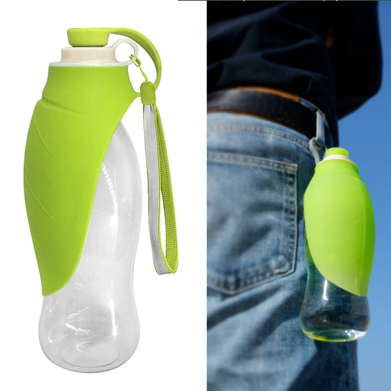 Travel Water Bottle (Compact)