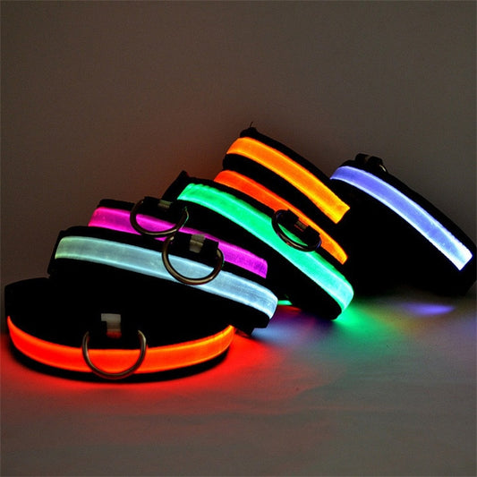 Glow Dog Collar