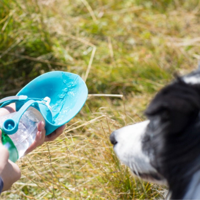 Travel Water Bottle (Compact)