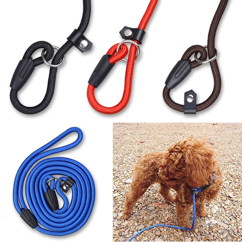 Emergency Dog Leash