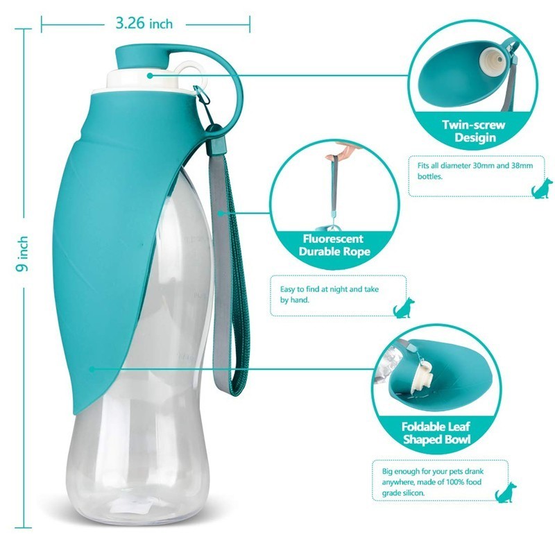 Travel Water Bottle (Compact)