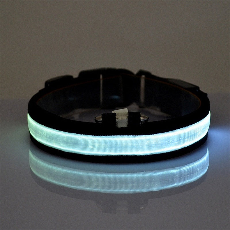 Glow Dog Collar