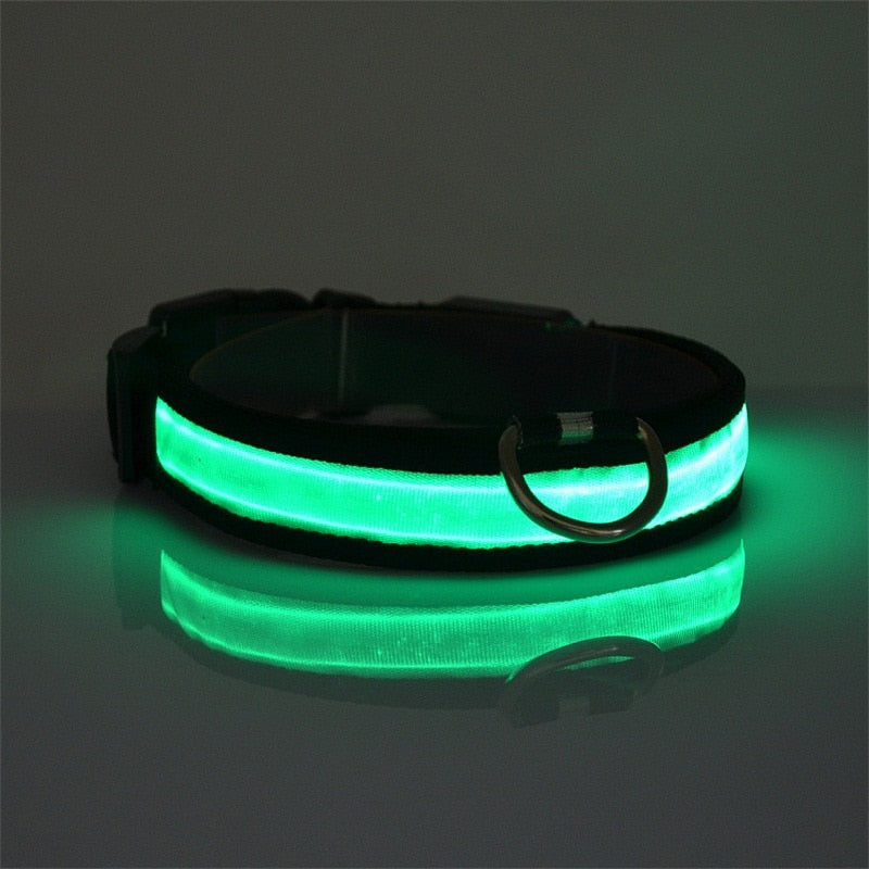 Glow Dog Collar