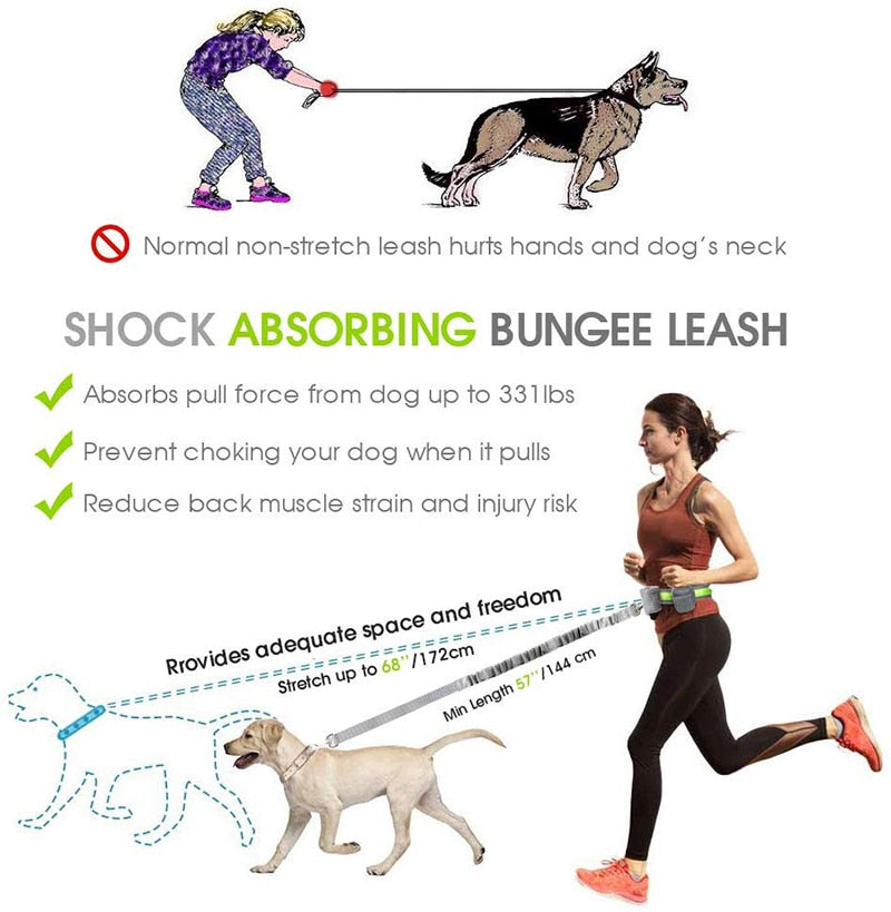 Handsfree Dog Leash Set