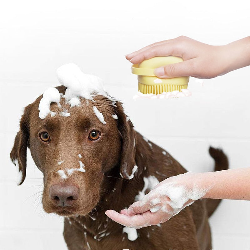 Brush with Shampoo Storage