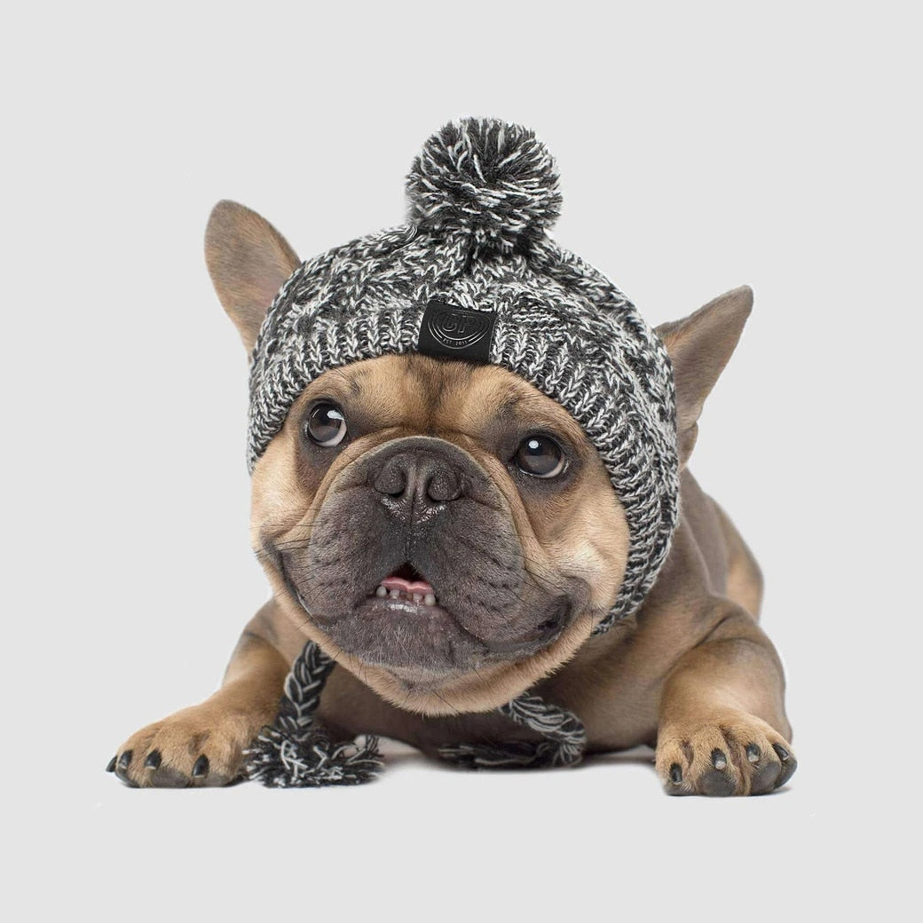 Winter Dog Hat/ Beanie