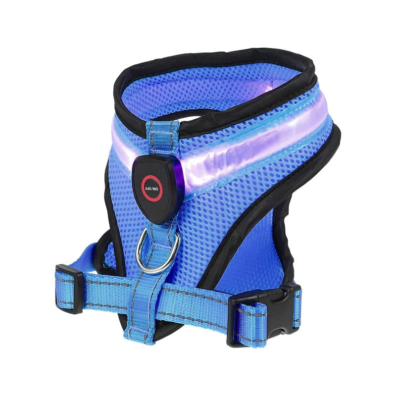 LED Harness (USB Rechargeable)