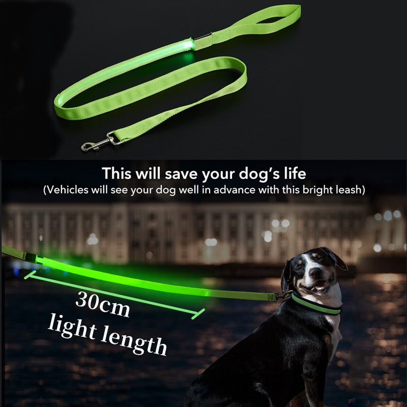 USB Rechargeable Glow Dog Lead