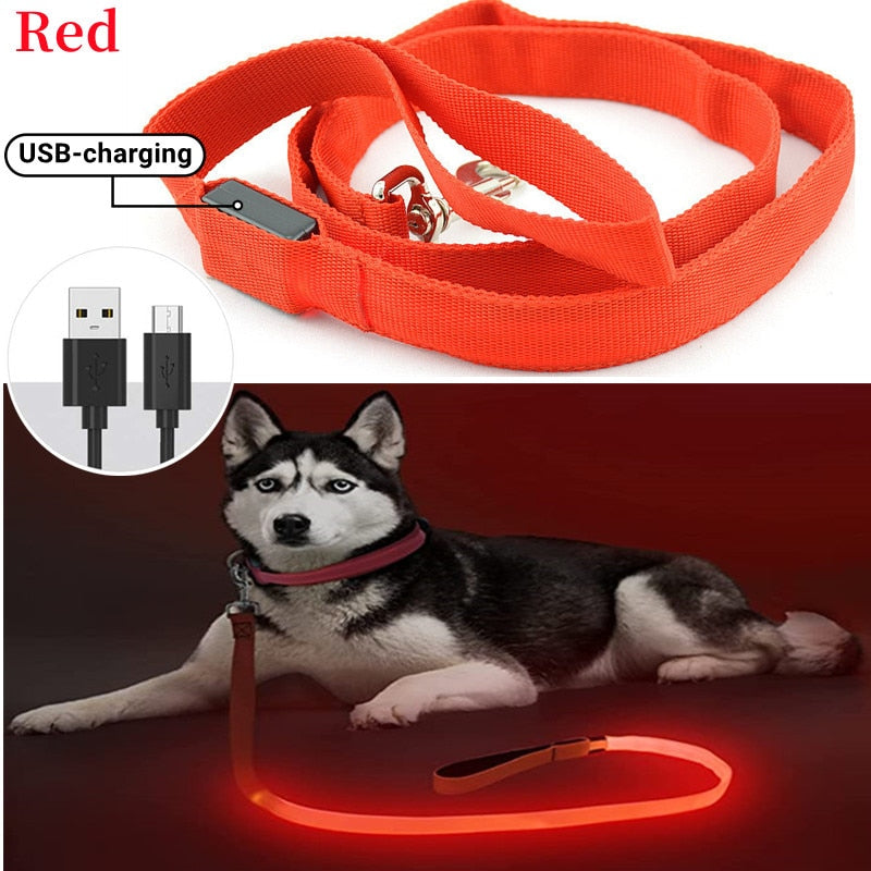 USB Rechargeable Glow Dog Lead