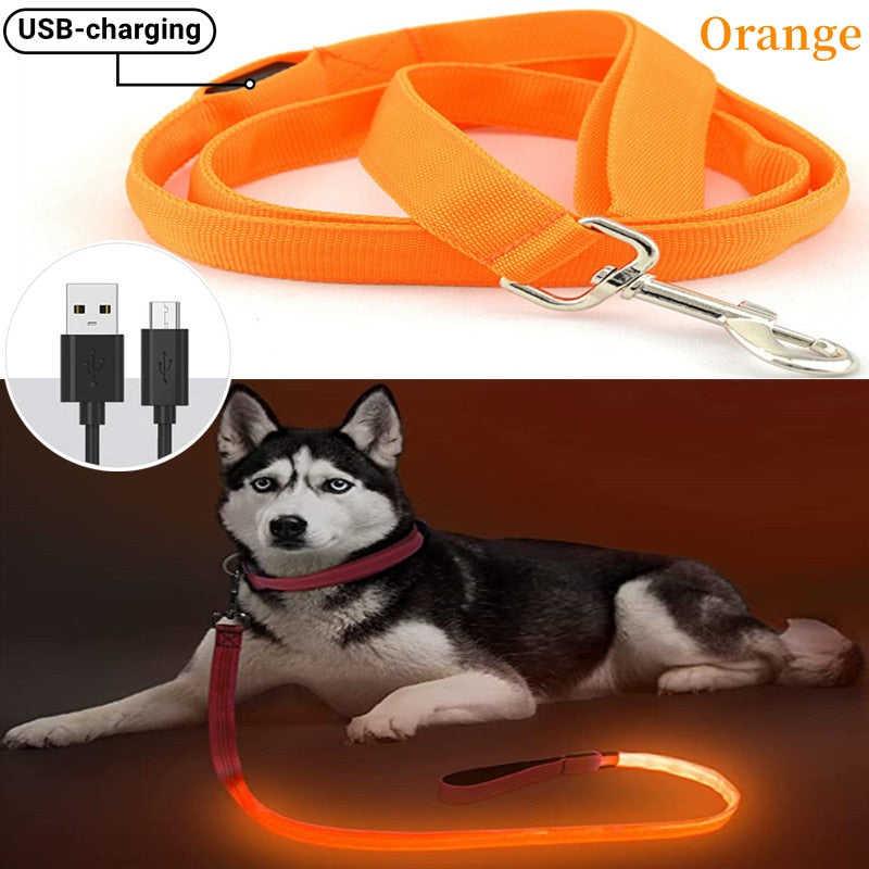 USB Rechargeable Glow Dog Lead