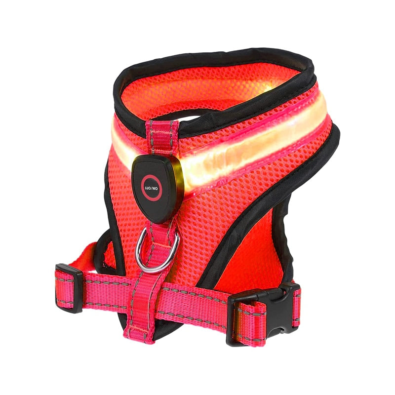 LED Harness (USB Rechargeable)