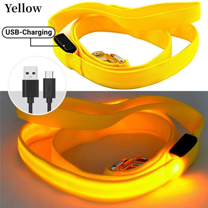 USB Rechargeable Glow Dog Lead