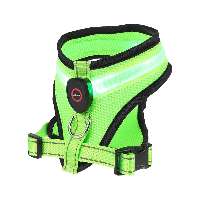 LED Harness (USB Rechargeable)