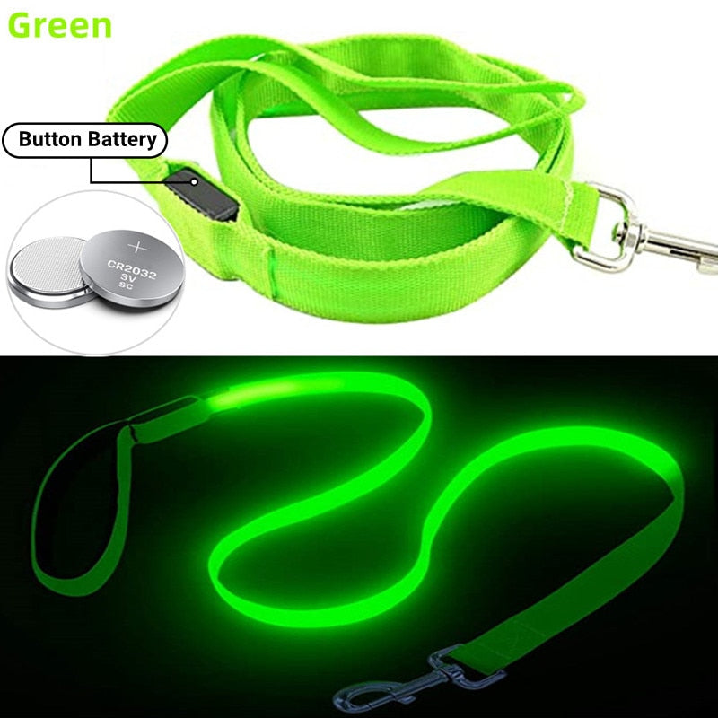 USB Rechargeable Glow Dog Lead