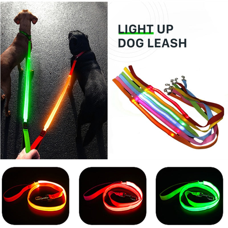 USB Rechargeable Glow Dog Lead