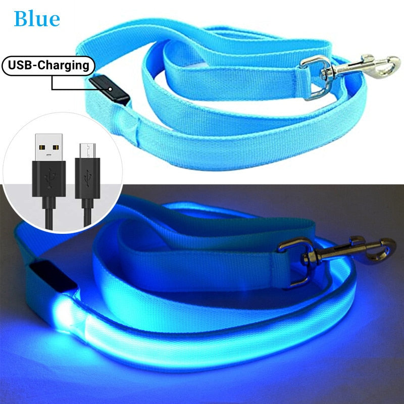 USB Rechargeable Glow Dog Lead