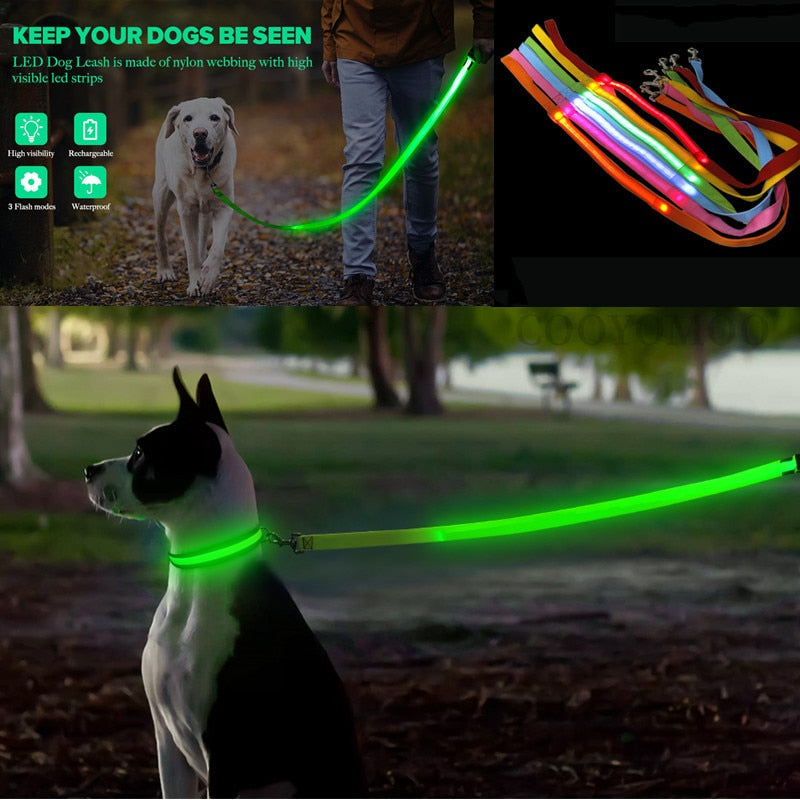 USB Rechargeable Glow Dog Lead