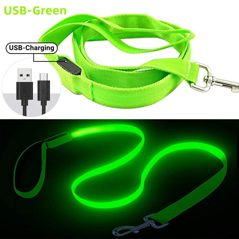 USB Rechargeable Glow Dog Lead