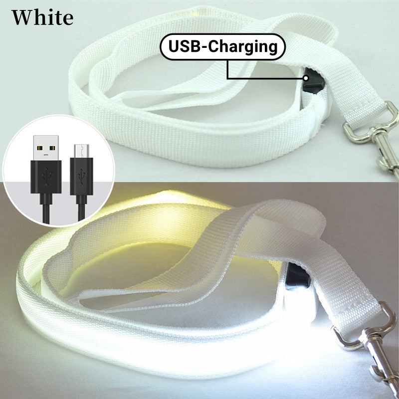 USB Rechargeable Glow Dog Lead