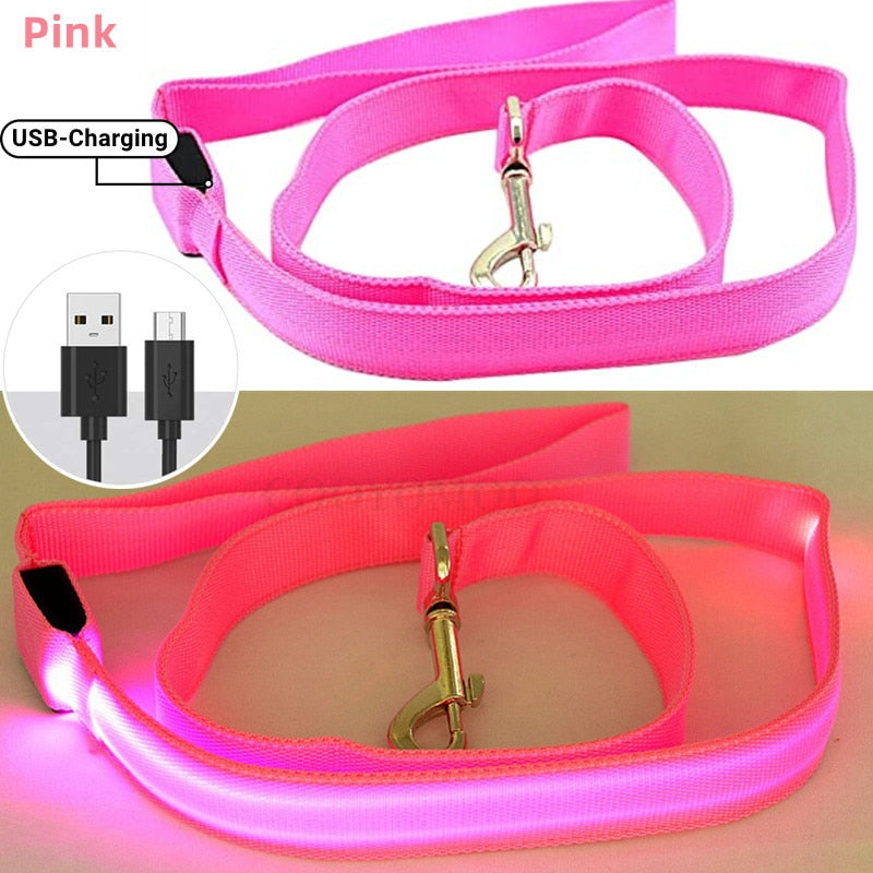 USB Rechargeable Glow Dog Lead