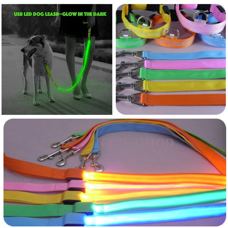 USB Rechargeable Glow Dog Lead