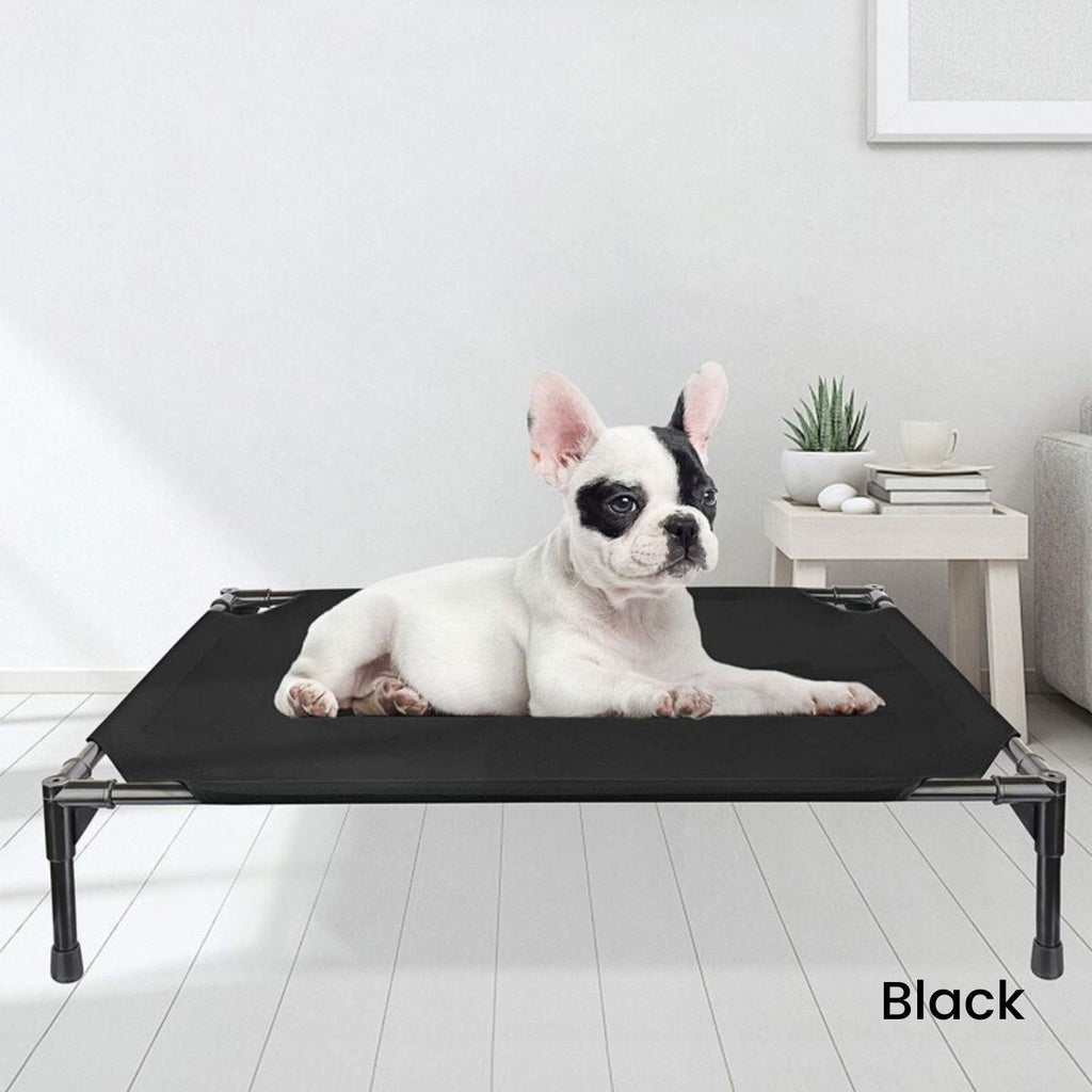 Elevated Camping Bed - Black, Medium