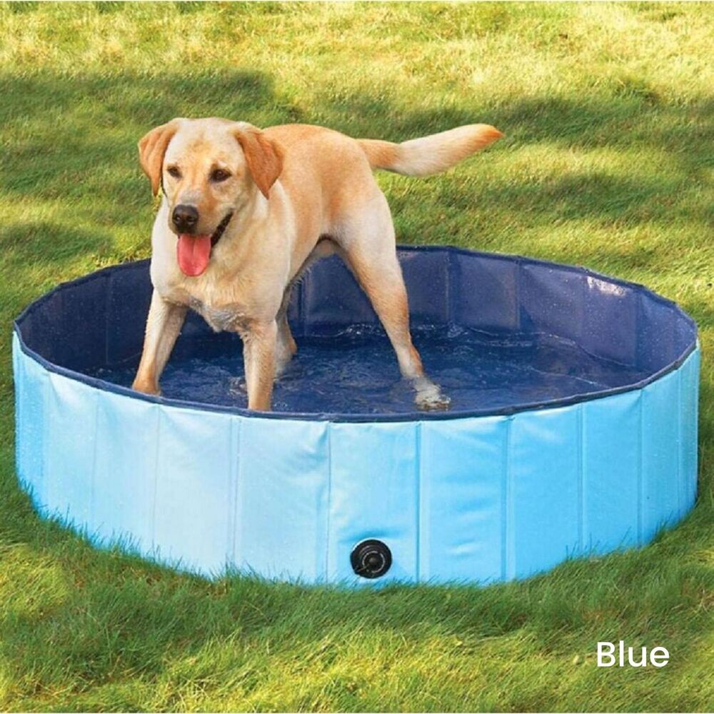 Pet Pool - XXL