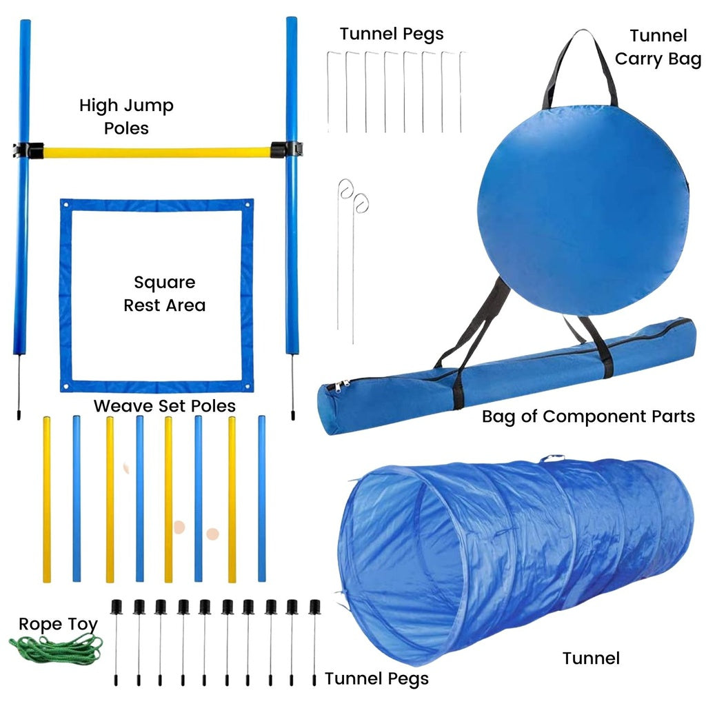 Dog Agility Training Set